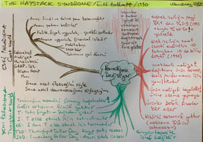 The Haystack Syndrome zihin haritası